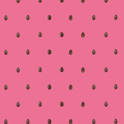 Watermelon seeds pink pattern