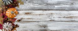Autumn or fall holiday background for thanksgiving