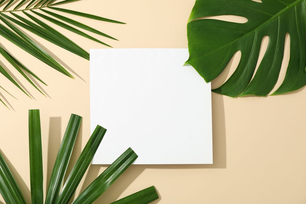 Different palm leaves and empty space on color background, top view