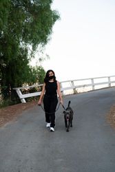 Woman walking her dog in the late afternoon on the street