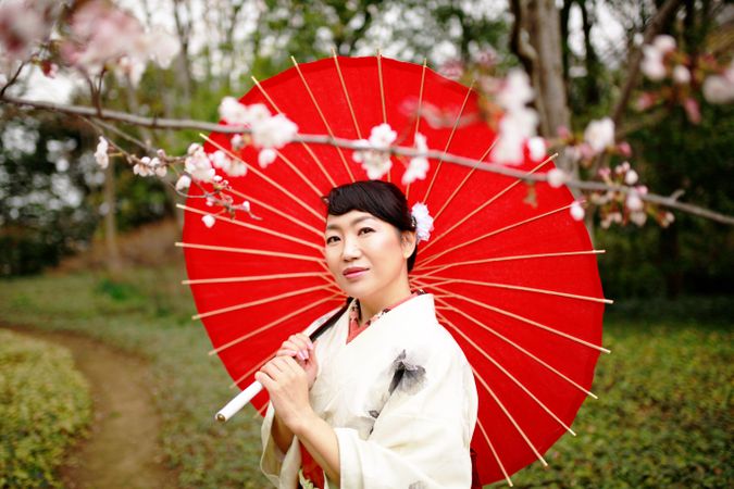 Portrait of Japanese woman in light kimono holding a red umbrella standing under cherry tree