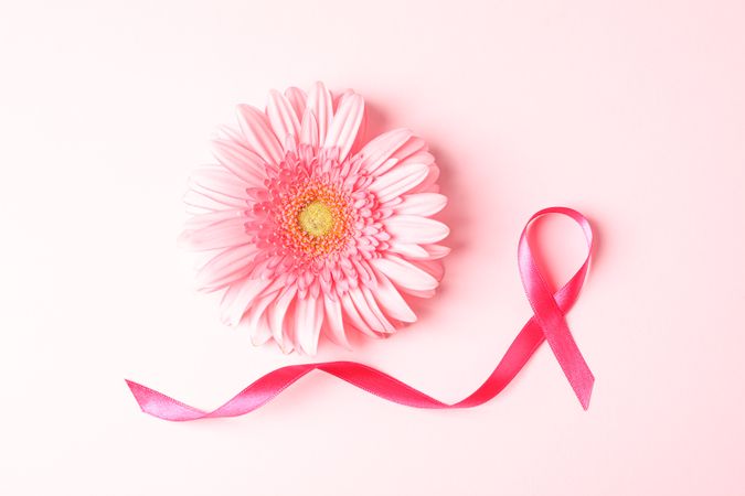 Pink awareness ribbon and gerbera color background, space for text