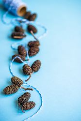 Festive xmas card concept of pine cones on string on blue background