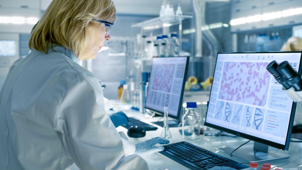 Mature Female Scientist Works On Computer in a Modern Laboratory.