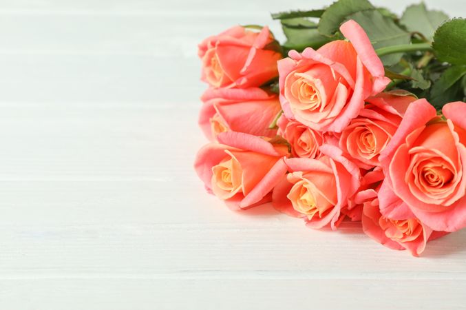 Bouquet of beautiful orange roses on light background, space for text