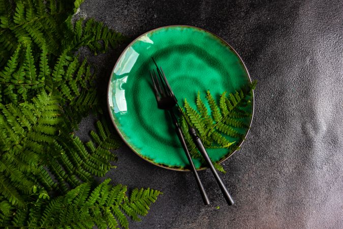 Summer rural table setting with fern on green plate with copy space
