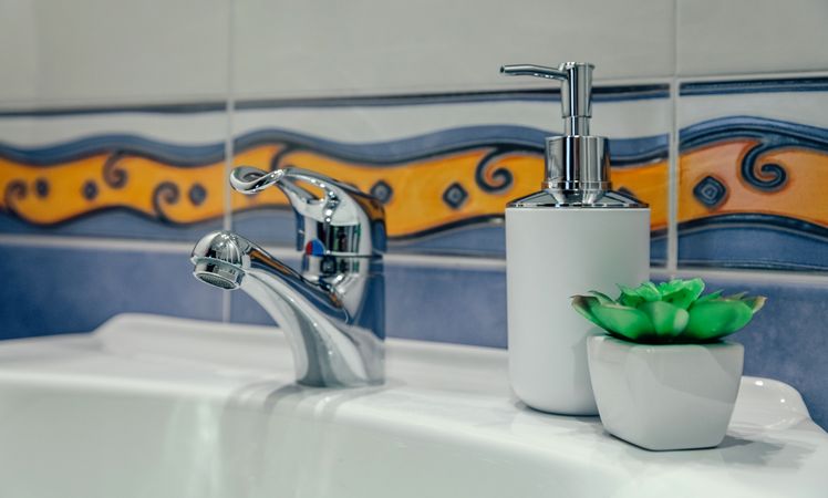 Washbasin with tap, soap dispenser and plant