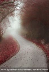 Endless road through a misty forest 0LO8rb