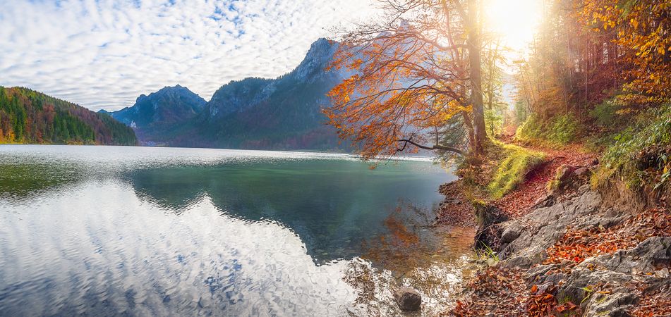 Path on Alpsee lake shore in autumn decor