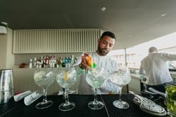 Cheerful Barman preparing alcoholic drinks in a bar.