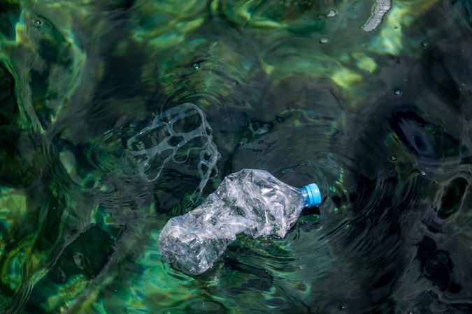 Plastic bottle floating on water