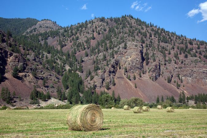 Farm scene in rural Montana