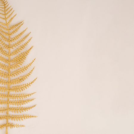 Golden leaf on side of beige background, copy space