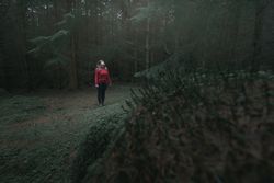 Tourist walking in forest park