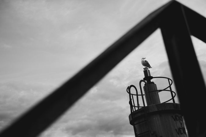 Bird on top of lighthouse