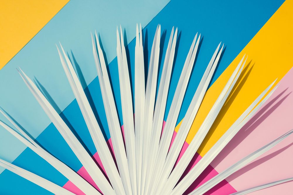 Tropical leaf on colorful bright geometric pattern of yellow, blue, and pink paper