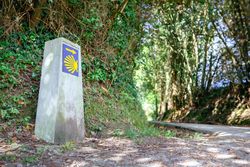 Milestone of Saint James way next to road