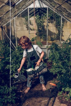 Boy watering plants in glasshouse