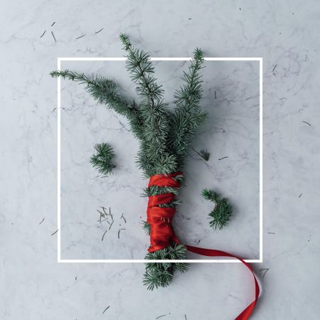 Christmas tree branch wrapped in red ribbon on gray background with square outline