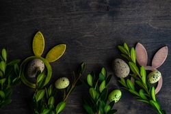 Easter card concept with eggs among leafy branches
