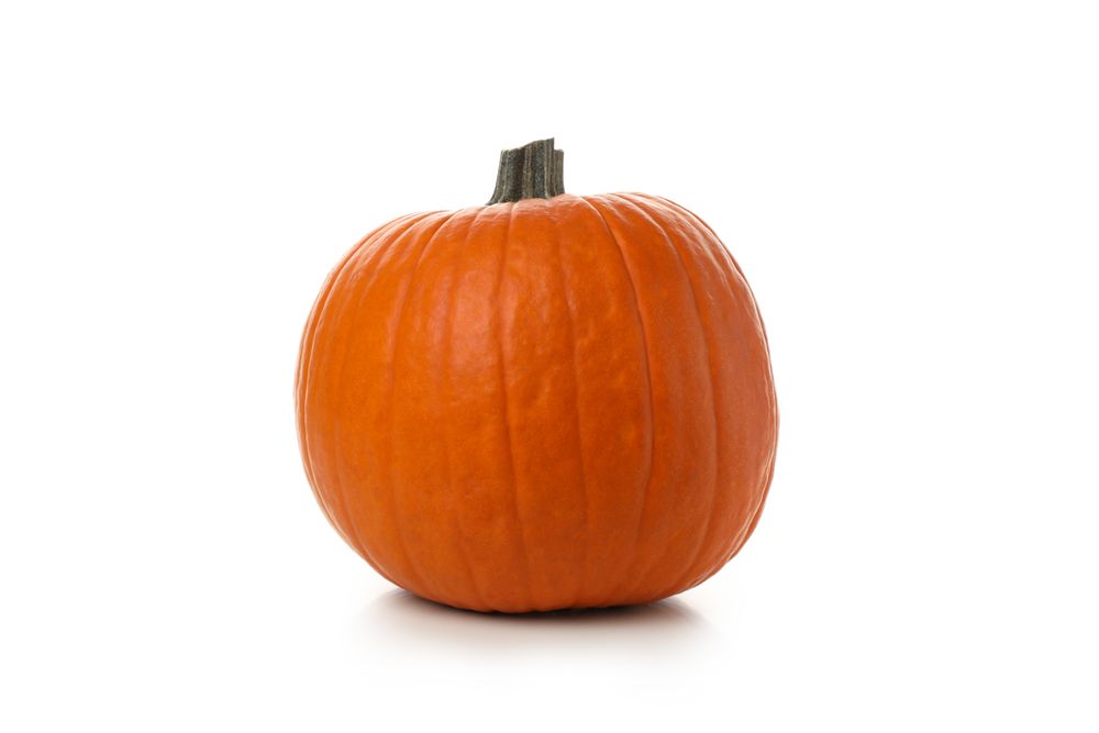 One fresh pumpkin isolated on plain background