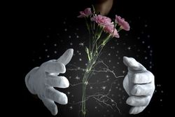 Hands of unrecognizable woman with a bouquet of carnations