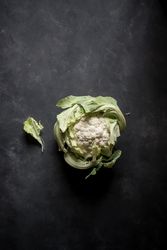 Fresh cabbage on table