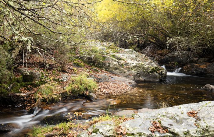 Beautiful clean creek in autumn forest