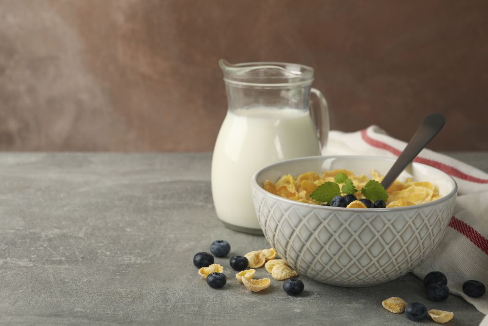 Concept of breakfast with muesli, milk and blueberry on gray table