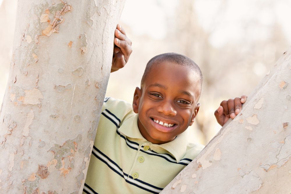 Young Black Boy Playing in Tree At the Park