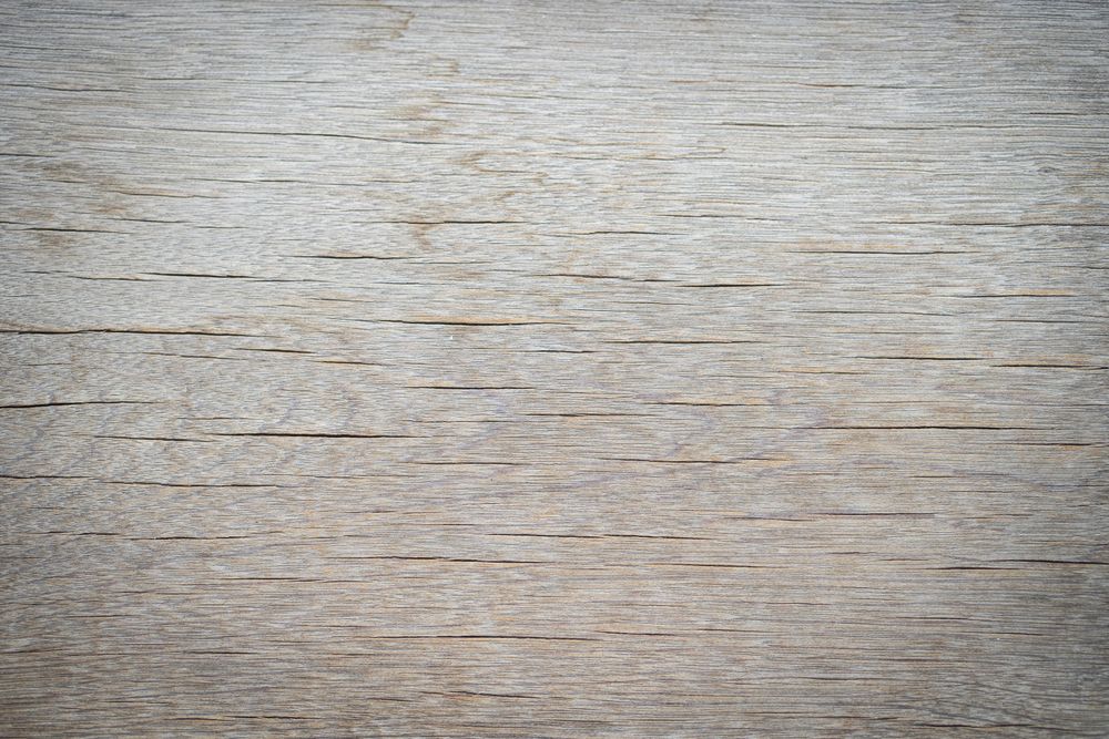 Close up old wood texture