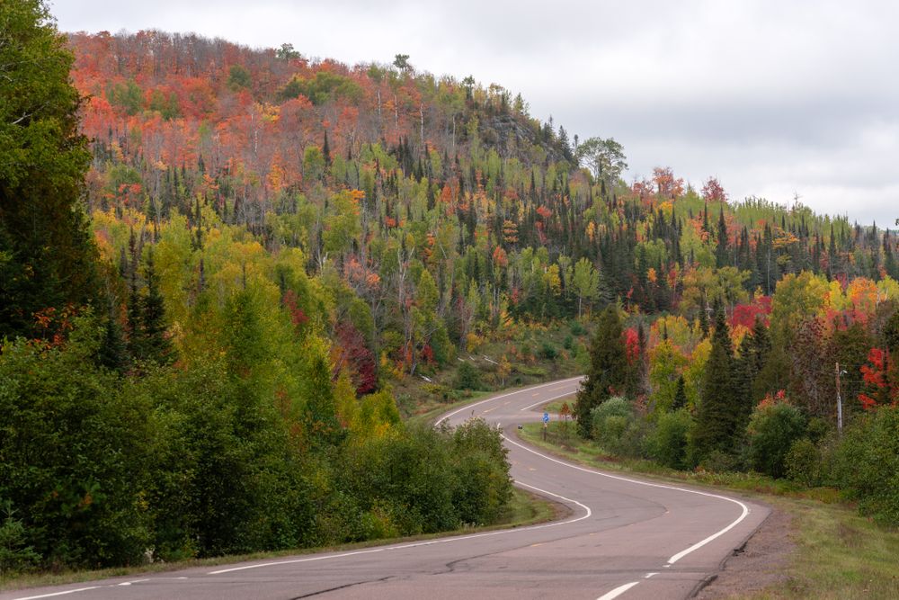 Winding road in the autumn