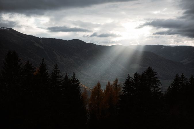 Big mountains near pine forest on cloudy weather