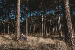 Relaxed tourist resting by tree in forest