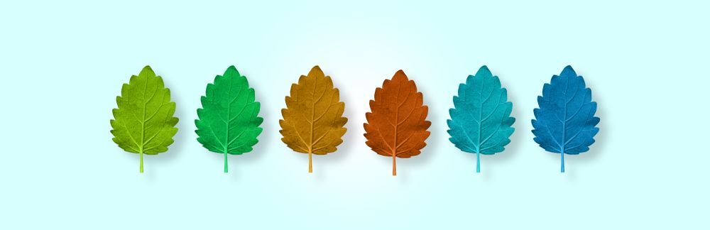 Row of multi colored fall leaves on blue background
