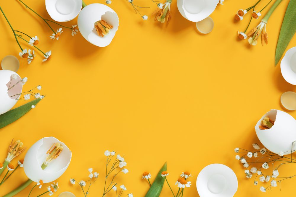 Spring flowers made of egg shells with copy space