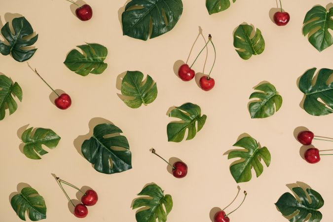 Monstera leaves and cherries arranged in a pattern on sand colored background