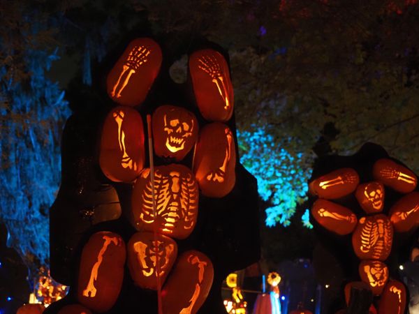 Hand carved lit jack-o’-lanterns