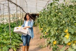 Smiling farmer carrying crate with crop in greenhouse