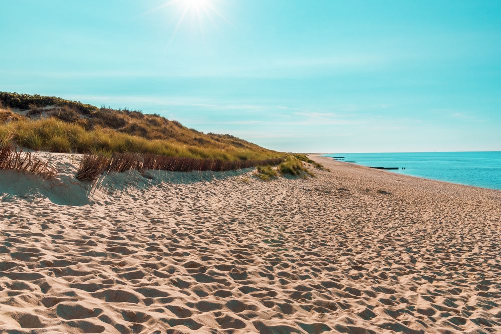 Landscape in the North Sea on Sylt island with the marram grass dunes