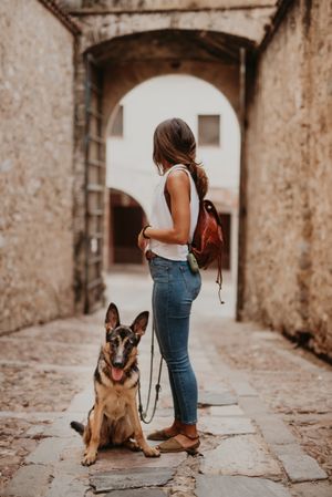 Adorable german shepherd with owner on street