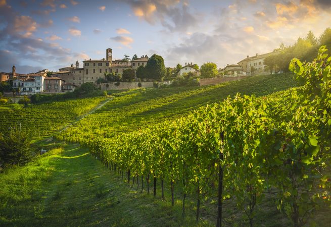 Neive village and Langhe vineyards, Piedmont, Italy