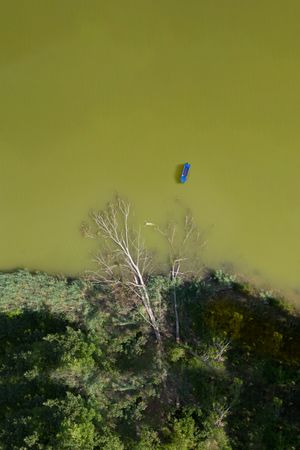 Aerial view of small boat and woman swimming in lake next to trees