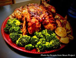 Thanksgiving Turkey on Plate 48ELvb