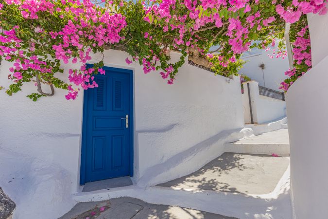 Idyllic walkway with pink flowers and blue door