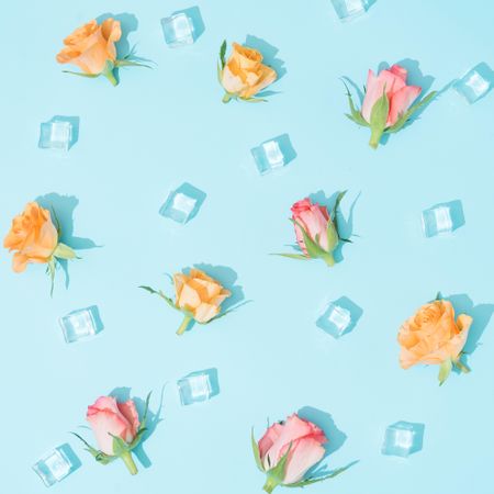 Pattern made of colorful flowers and ice cubes on pastel blue background