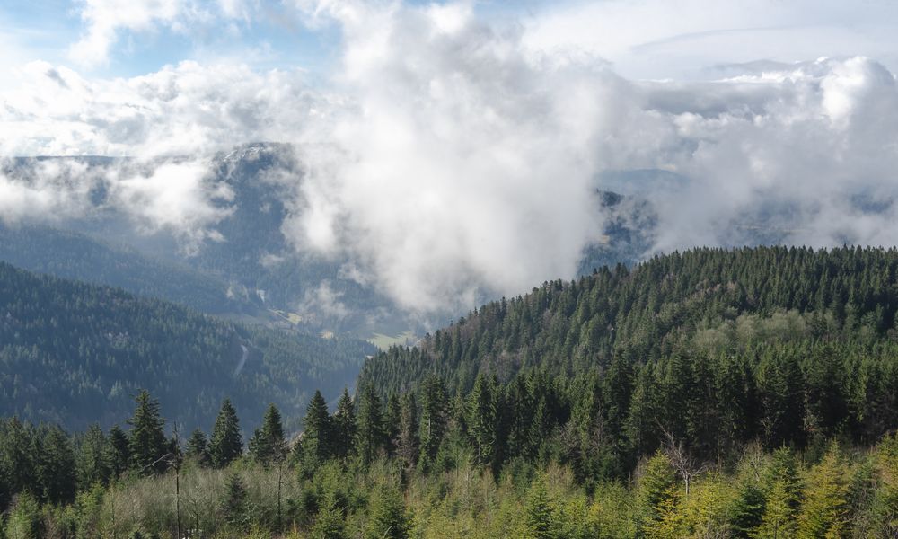 Mountain landscape covered in clouds