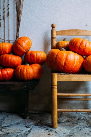 Shiny orange pumpkins composed on chairs