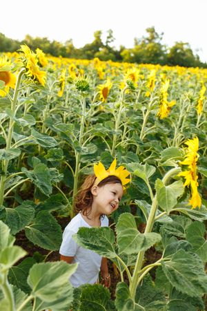 Cute child in blooming sunflower field