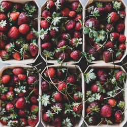 Strawberries in eco-friendly plastic-free boxes, square crop